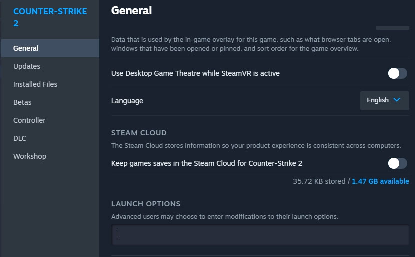 CS2 Launch options location
