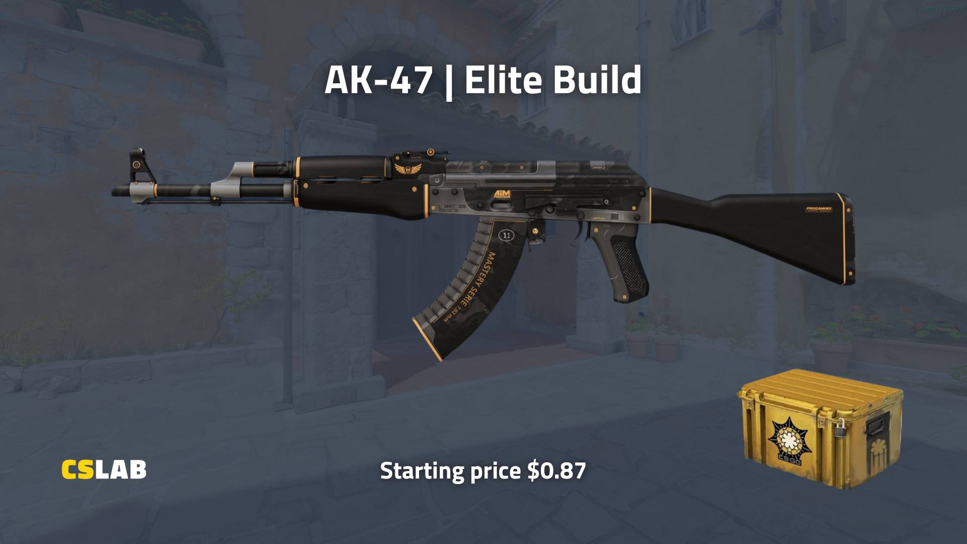 cs2 skin, AK-47 Elite Build