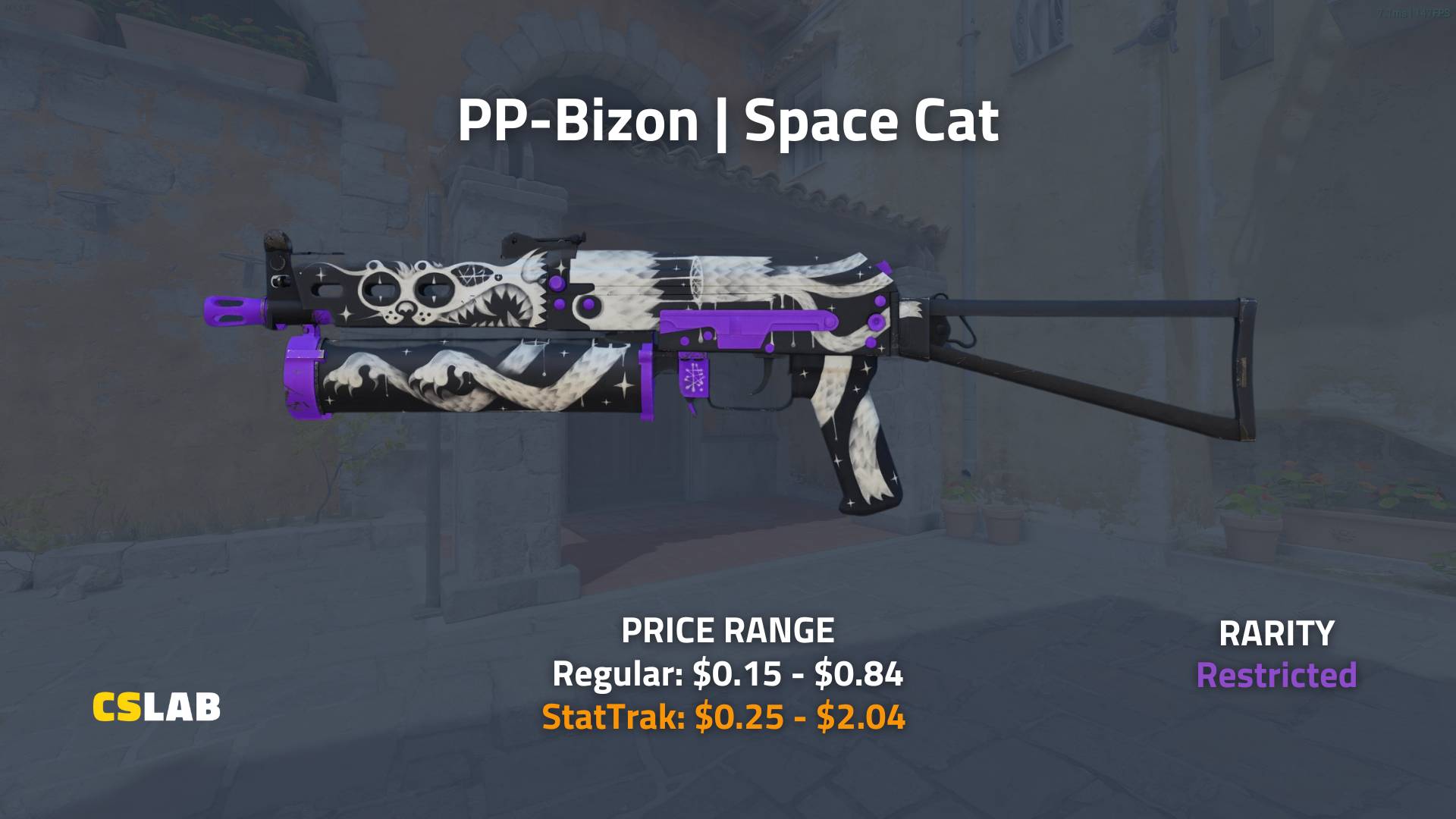 CS2 Dreams & Nightmares Case, PP-Bizon _ Space Cat skin