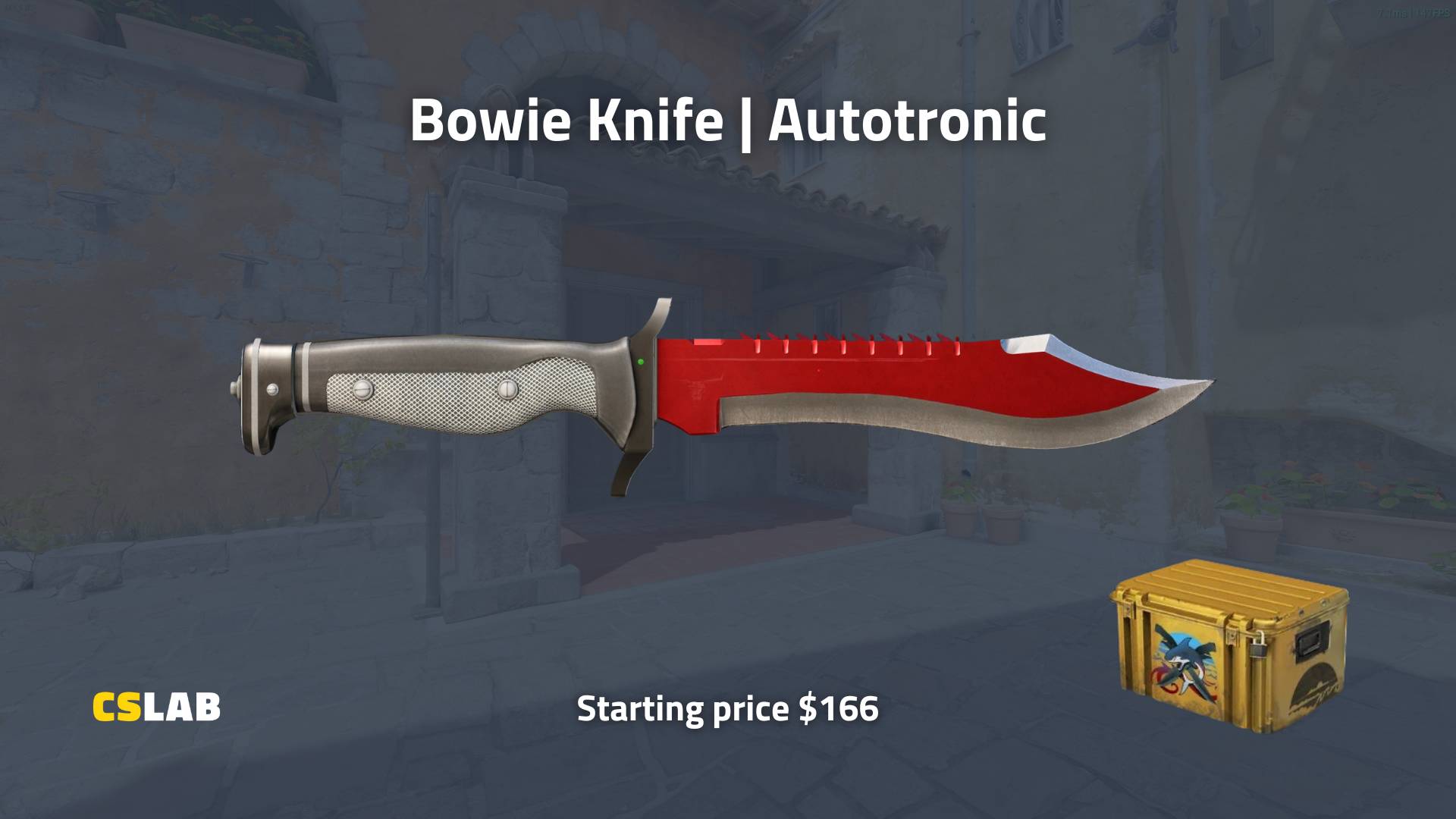 CS2 budget knife skins, Bowie Knife Autotronicife