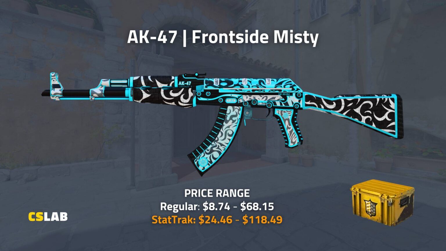 Top Picks for Affordable AK-47 Skins - CS LAB