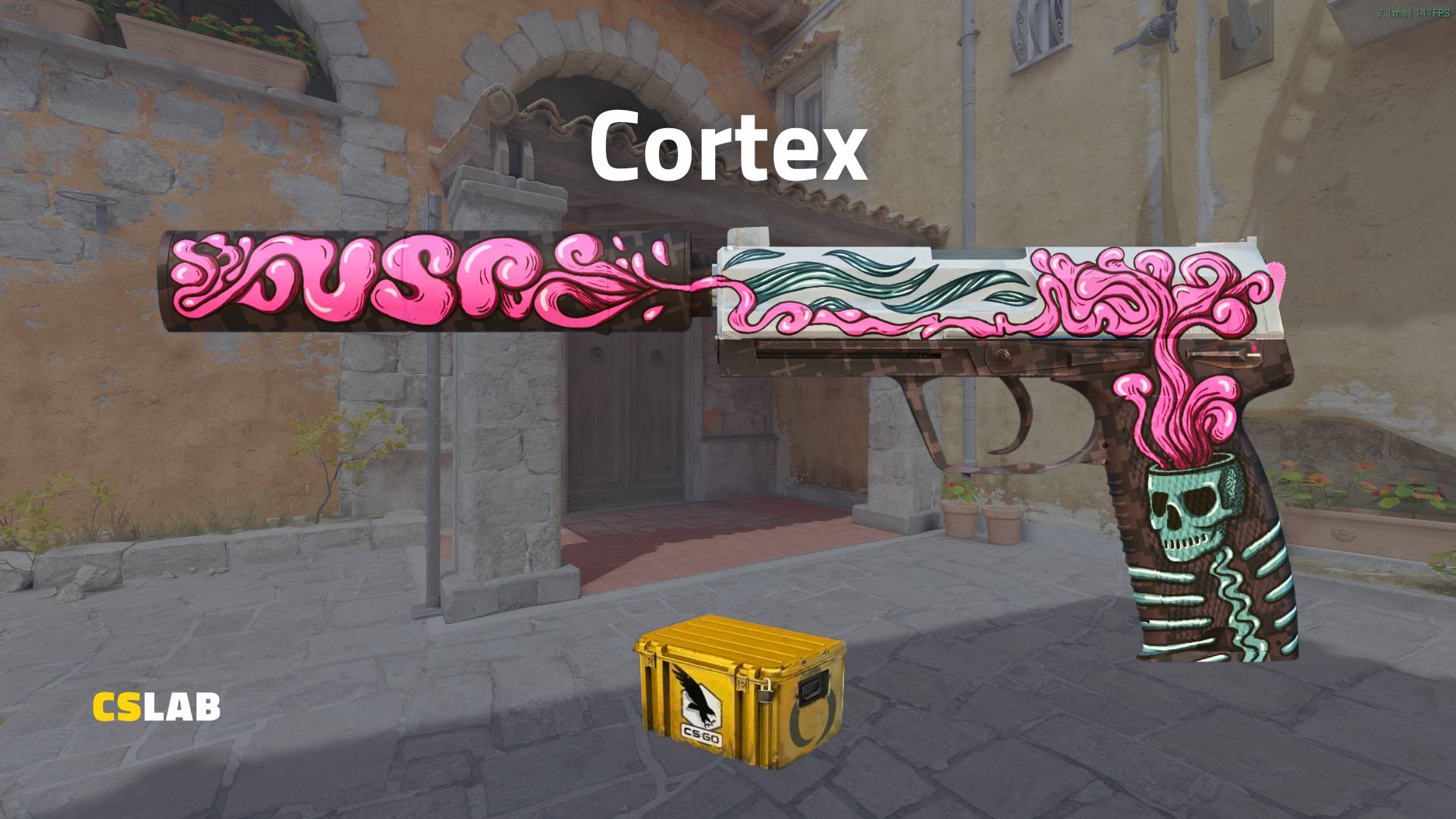 CS2 skin USP Cortex