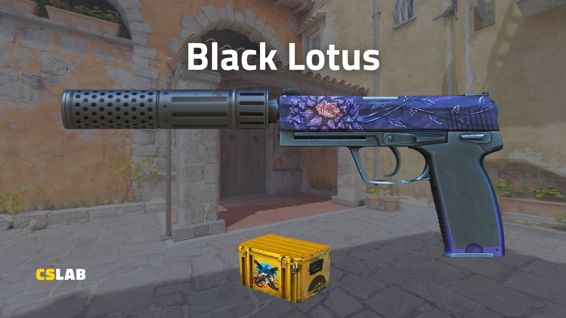 CS2 skin USP-S Black Lotus
