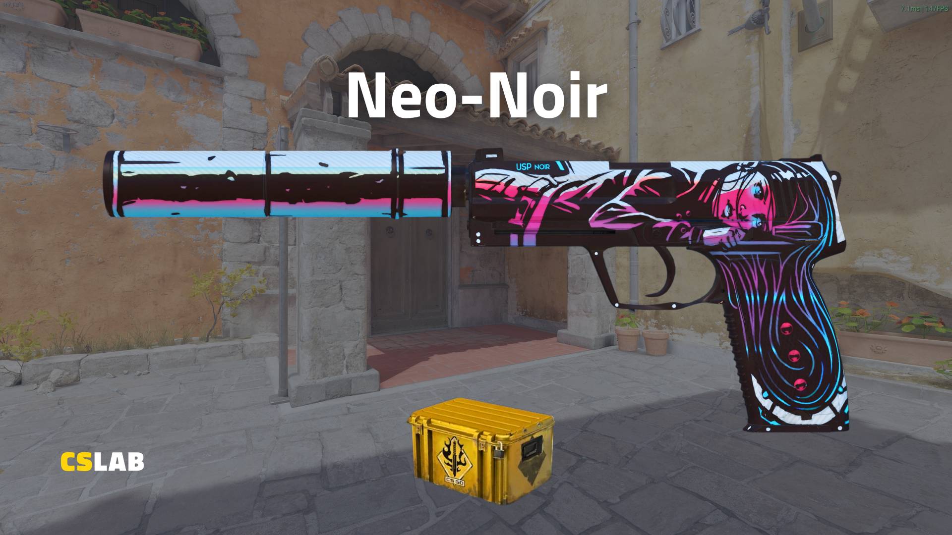 CS2 skin USP-S Neo-Noir